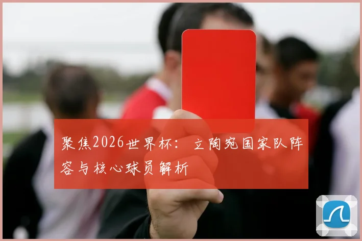 聚焦2026世界杯：立陶宛国家队阵容与核心球员解析